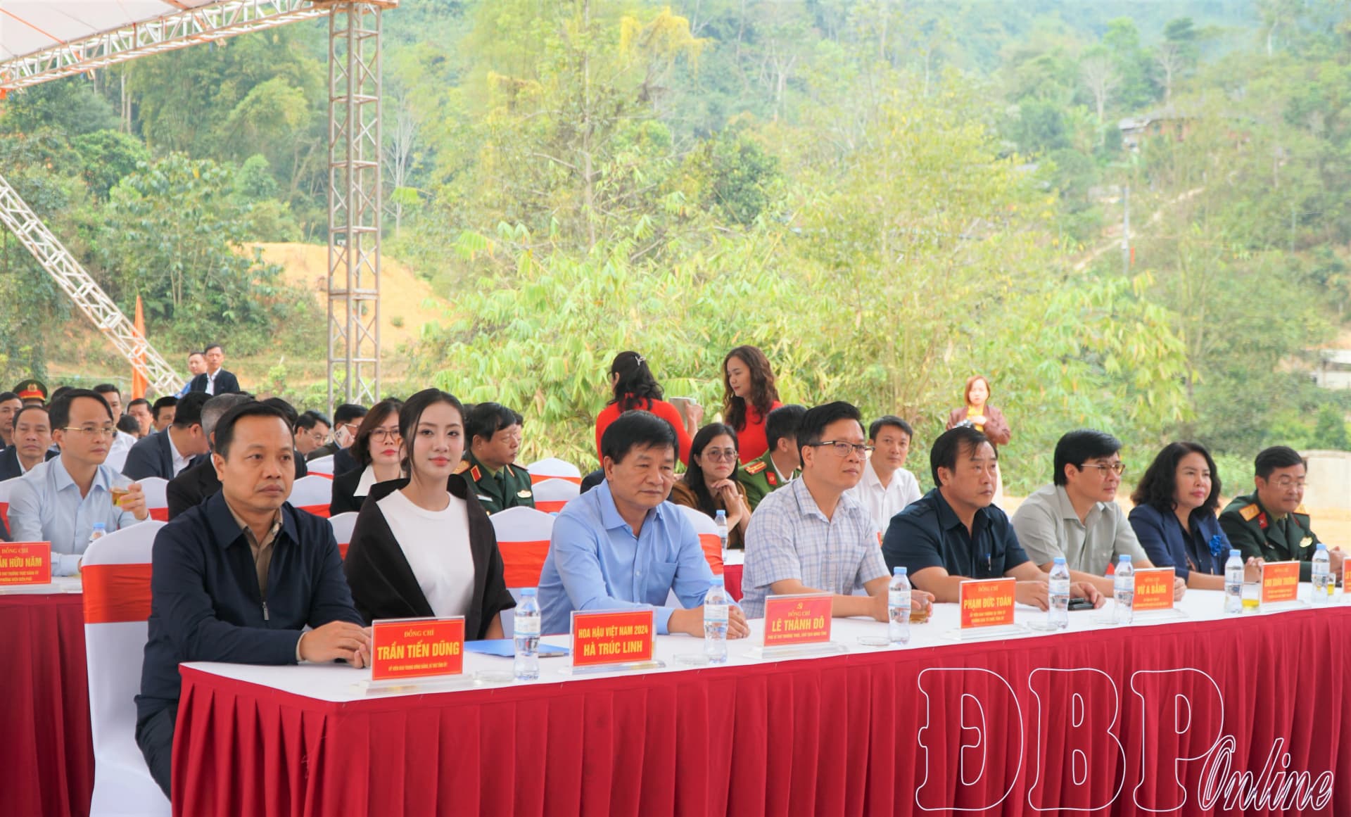 hoa-hau-ha-truc-linh-lan-toa-sac-xanh-tren-nui-rung-dien-bien-dip-dau-xuan