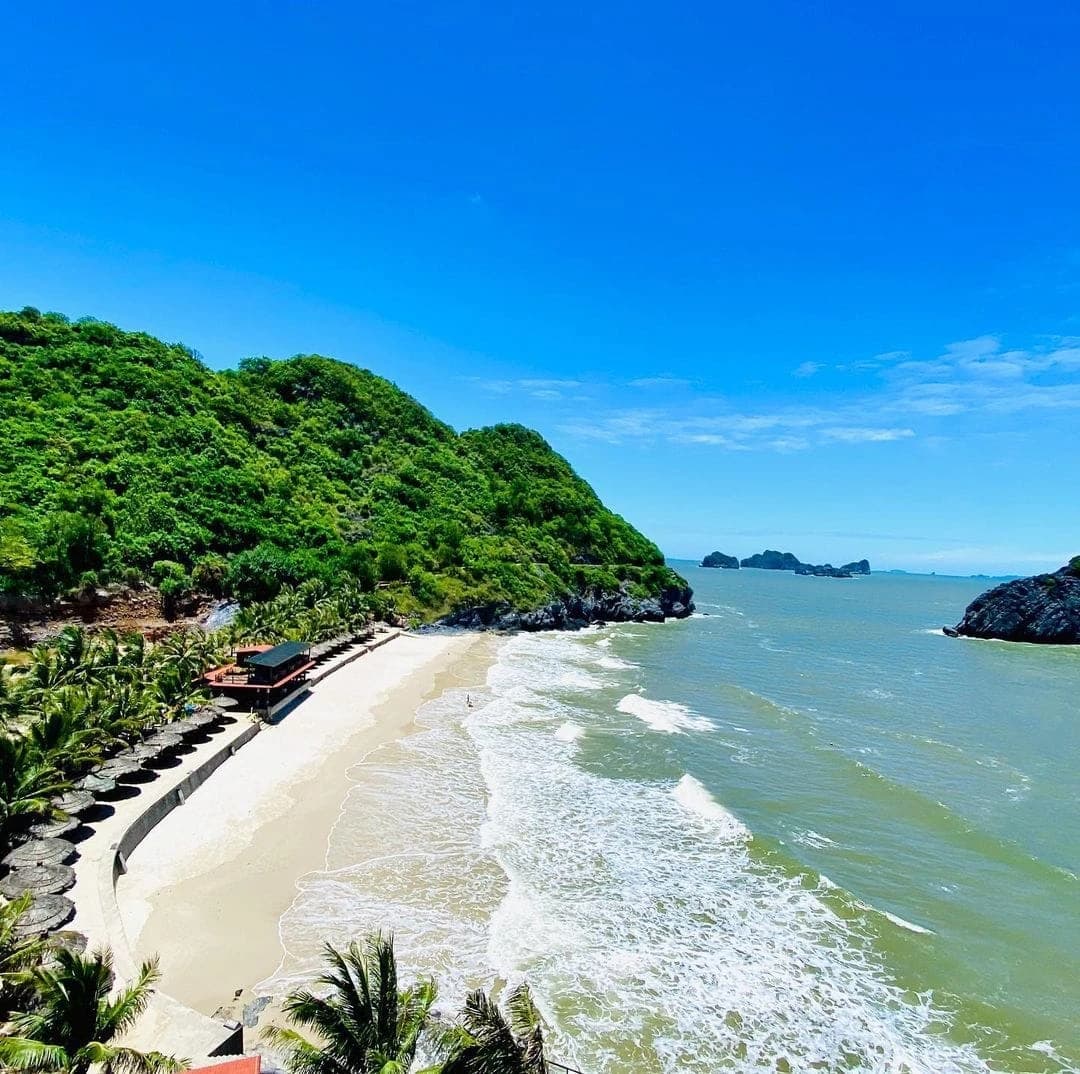 Hải Phòng – Sức sống rực rỡ của Thành phố Hoa phượng đỏ
