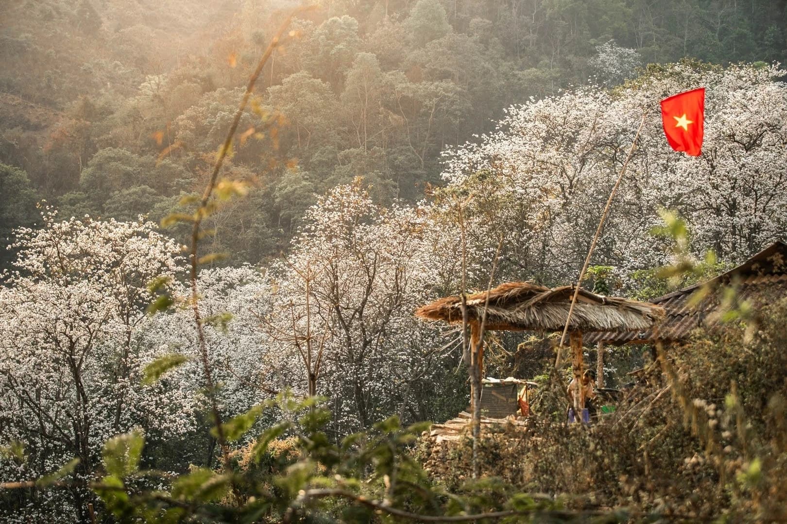 Điện Biên